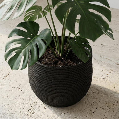 Sierpot - Mand Jorck Zwart - D26cm