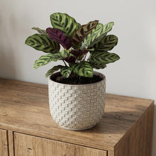 Sierpot - Relief Wit - Ø 13,5cm