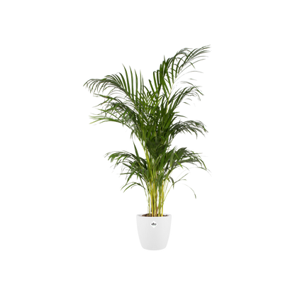 Pot - Brussels Round Wit - Ø 30cm H 27cm