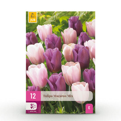 Buitenplant - Tulp Macron mix - Bloeiend - 12 bollen Bolmaat 11/12