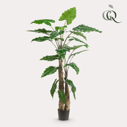 XL Kunstplant - Alocasia Olifantsoor - Hoogte ↕ 180cm
