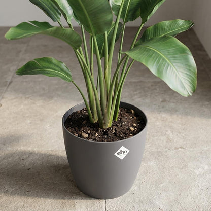 Pot - ELHO Brussels Rond 30cm - Antraciet