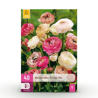 Buitenplant 40x Ranunculus Pastel Mix - Bloembollen - Pot Ø 5/6cm
