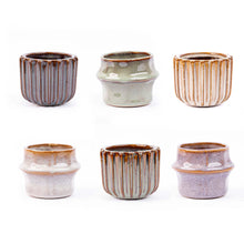 Kamerplant - Mini planten set 6 - Inclusief pot set Barcelona