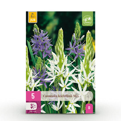 Buitenplant 5x Camassia Leichtlinii Mix - Bloembollen Paars en Wit - Bolmaat 12/14