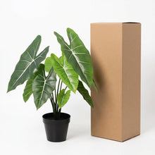 Kunstplant - Alocasia Polly - Hoogte ↕ 40cm