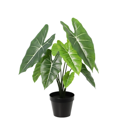 Kunstplant - Alocasia Polly - Hoogte ↕ 40cm