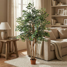 XL Kunstplant - Ficus Exotica - 150cm