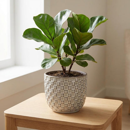 Sierpot - Mini Pot Relief Wit - Ø 7cm