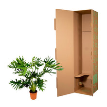 Kamerplant - Philodendron Selloum - Pot Ø 24cm Hoogte ↕ 100cm