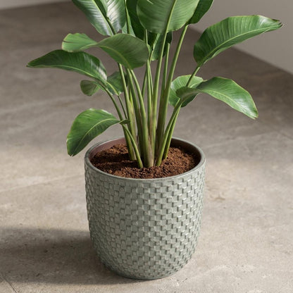 Pot - Pot Relief Groen - Ø 13,5cm
