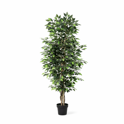 XL Kunstplant - Ficus Benjamina - Hoogte ↕ 180cm