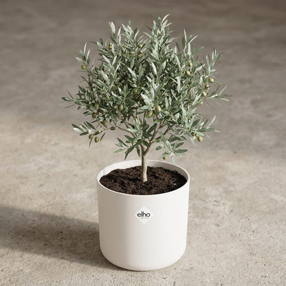 Sierpot - Ronde Bloempot 25cm - Wit