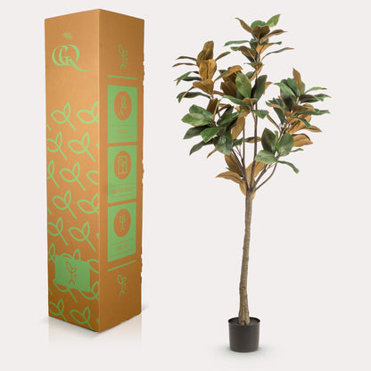 XL Kunstplant - Magnolia Grandiflora - Hoogte ↕ 150cm