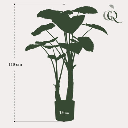 Kunstplant - Alocasia Olifantsoor - Hoogte ↕ 110cm
