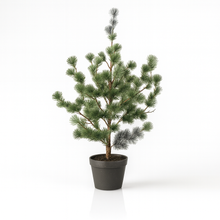 Kunstplant - Dennenboom (Cedar Pine) in pot - Hoogte ↕ 80cm
