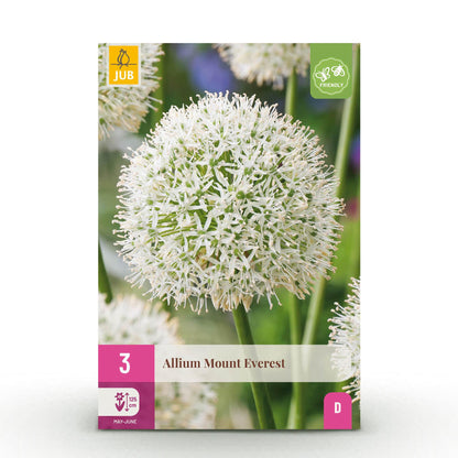 Buitenplant 3x Allium Mount Everest - Bloeiend - Bolmaat 16/18