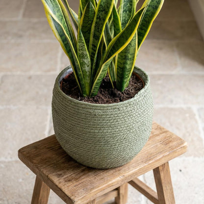 Sierpot - Mand Jorck Groen - D26cm