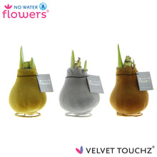 Kamerplant 3x Velvet Touchz Metallic Mix - Pot Ø 7cm Hoogte ↕ 15cm