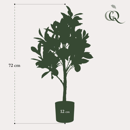 Kunstplant - Citrus Limonia Citroenboom - Hoogte ↕ 75cm