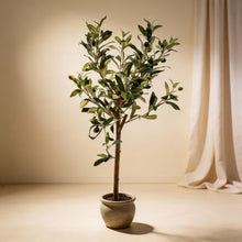 Kunstplant - Olijfboom in pot - Hoogte ↕ 65cm