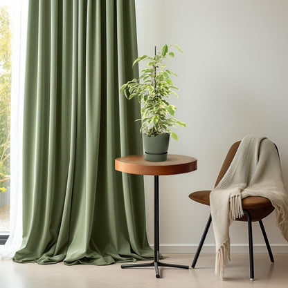 Kamerplant - Ficus Benjamina Samantha - Pot Ø 14cm Hoogte ↕ 55cm