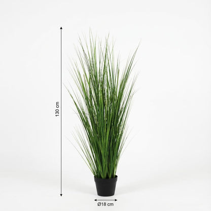 XL kunstplant - Onion Grass - Hoogte ↕ 130cm