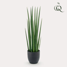 Kunstplant - Sansevieria Cylindrica - Vrouwentong - Hoogte ↕ 70cm