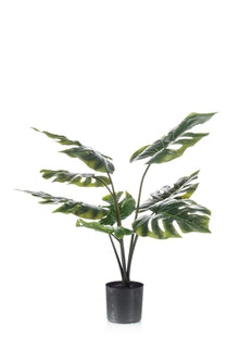 Kunstplant - Monstera Deliciosa - Hoogte ↕ 65cm