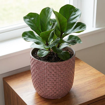 Pot - Pot Relief Roze - Ø 13.5cm