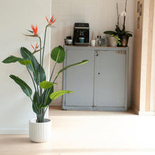 XL Kunstplant - Strelitzia met Bloemen - Hoogte ↕ 120cm