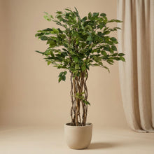 XL Kunstplant - Ficus Liana Kunstboom - Hoogte ↕ 140cm