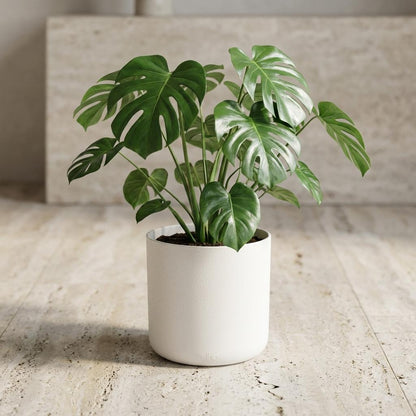 Pot - B.for Soft Wit - Ø 22cm