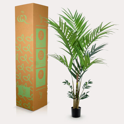 Kunstplant - Kentia Kentiapalm - Hoogte ↕ 180cm