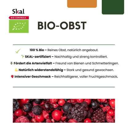 Buitenplant 6x Biologische kiwiplanten - Pot Ø 13cm Hoogte ↕ 20cm