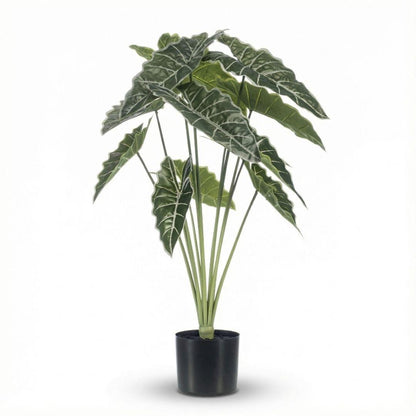 Kunstplant - Alocasia - Hoogte ↕ 80cm