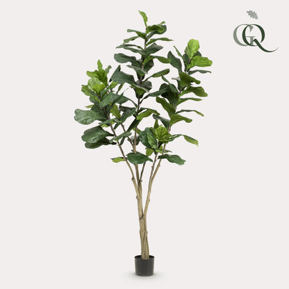 XL Kunstplant - Ficus Lyrata - 210cm