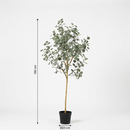 Kunstplant - Eucalyptus - Hoogte ↕ 180cm