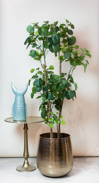 XL Kunstplant - Polyscias Aralia - Hoogte ↕ 160cm