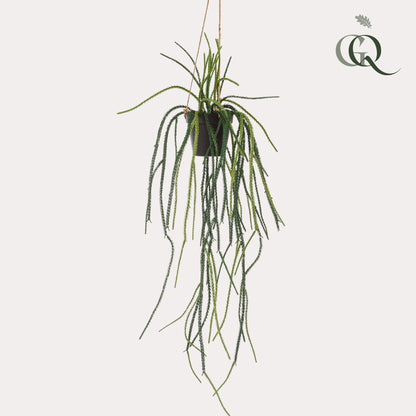 Kunstplant - Rhypsalis Koraalcactus - Hoogte ↕ 85cm