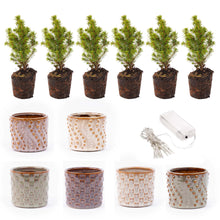 Mini-kerstboom set van 6 inclusief pot en 20 LED-lampjes