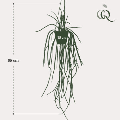 Kunstplant - Rhypsalis Koraalcactus - Hoogte ↕ 85cm