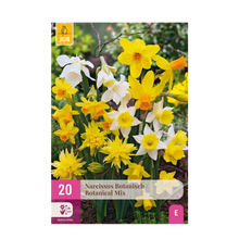 Bloembollen 20x Narcis Botanical mix - Geel & Wit - Bolmaat 10/12