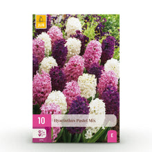 Bloembollen - Hyacint Pastel mix - Diverse pastelkleuren - 10 stuks - Bolmaat 14/15