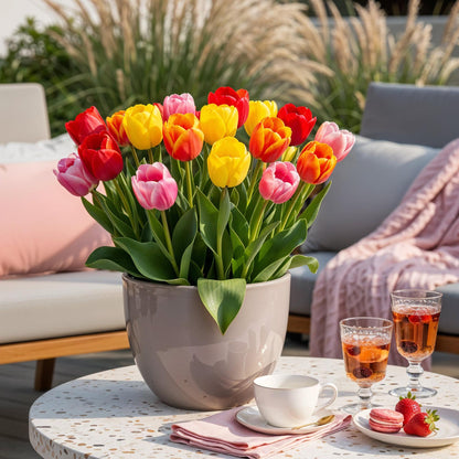 Buitenplant - Tulp Darwin Hybride Mix - Bloeiend - 40 stuks Bolmaat 10/12