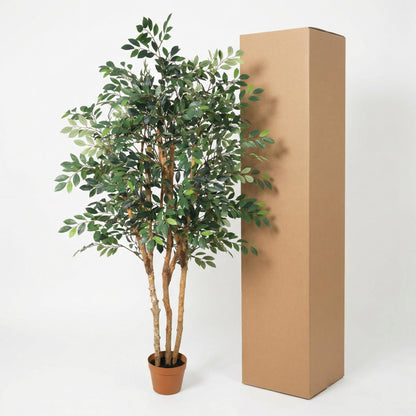 XL Kunstplant - Ficus Exotica - 150cm