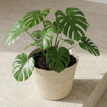 Sierpot - Mand Selin - Ø26cm Hoogte ↕ 23cm