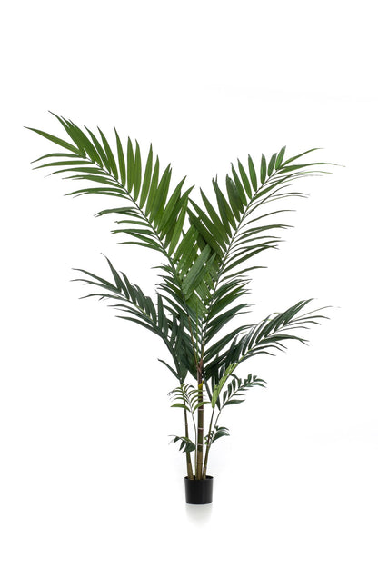 Kunstplant - Kentia Kentiapalm - Hoogte ↕ 150cm