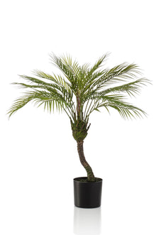 Kunstplant - Chamaedorea Bergpalm - Hoogte ↕ 85cm