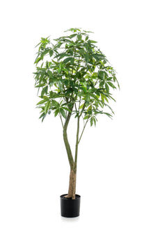 XL Kunstplant - Pachira Aquatica Geldboom - Hoogte ↕ 180cm